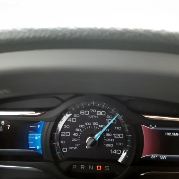 Meet your Posher, Cece - Picture 1 of 1